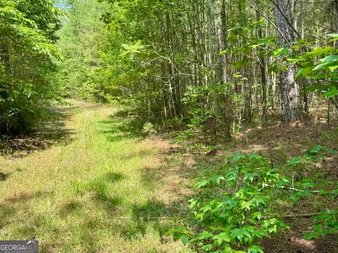000 Springfield Turner Rd, Union Point, GA 30669 photo 17