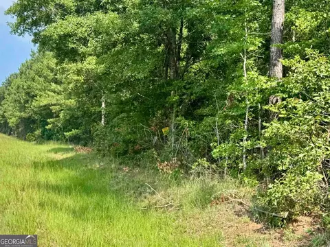 000 Springfield Turner Rd, Union Point, GA 30669 photo 22