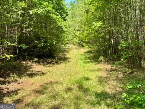000 Springfield Turner Rd, Union Point, GA 30669 photo 18