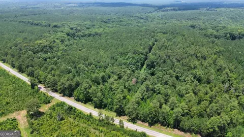 000 Springfield Turner Rd, Union Point, GA 30669 photo 30