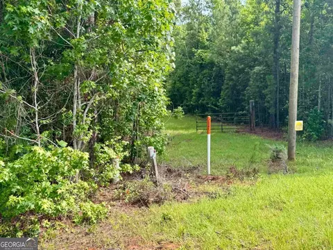000 Springfield Turner Rd, Union Point, GA 30669 photo 10
