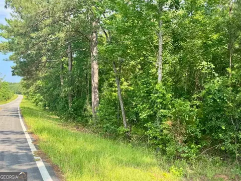 000 Springfield Turner Rd, Union Point, GA 30669 photo 23