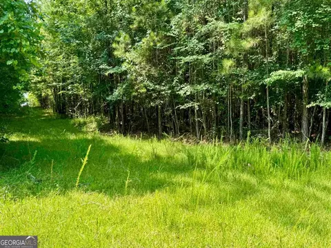 000 Springfield Turner Rd, Union Point, GA 30669 photo 15