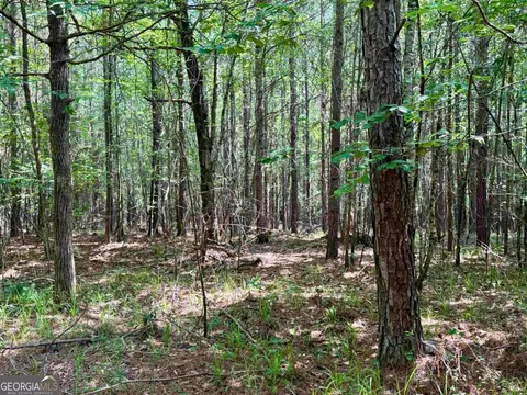 000 Springfield Turner Rd, Union Point, GA 30669 photo 34