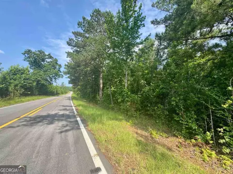 000 Springfield Turner Rd, Union Point, GA 30669 photo 20
