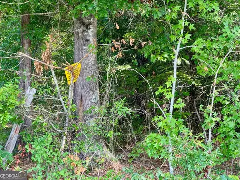 000 Springfield Turner Rd, Union Point, GA 30669 photo 8