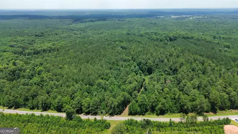 000 Springfield Turner Rd, Union Point, GA 30669 photo 31
