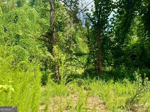000 Springfield Turner Rd, Union Point, GA 30669 photo 24