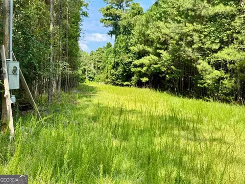 000 Springfield Turner Rd, Union Point, GA 30669 photo 19