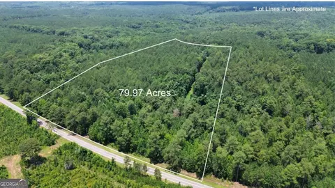 000 Springfield Turner Rd, Union Point, GA 30669 photo 2