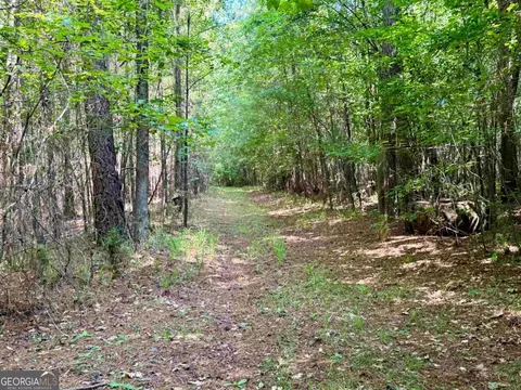 000 Springfield Turner Rd, Union Point, GA 30669 photo 13
