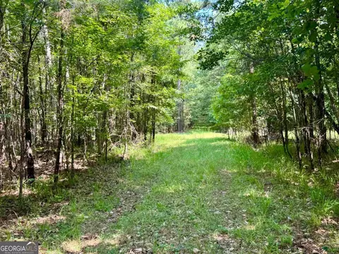 000 Springfield Turner Rd, Union Point, GA 30669 photo 12