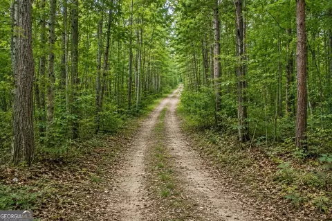 lot26 Waldrip Rd, Dawsonville, GA 30534