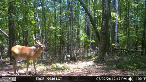 238 Cold Springs Rd, Modoc, SC 29838 photo 18