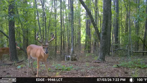 238 Cold Springs Rd, Modoc, SC 29838 photo 7