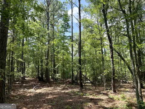238 Cold Springs Rd, Modoc, SC 29838 photo 14