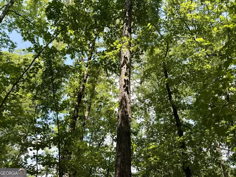 238 Cold Springs Rd, Modoc, SC 29838 photo 6