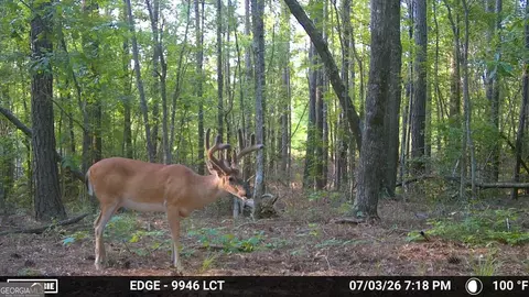 238 Cold Springs Rd, Modoc, SC 29838 photo 2