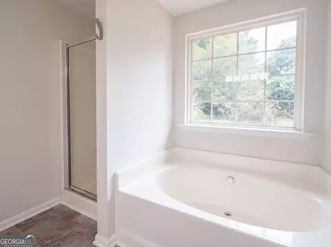 305 Cobb Ct, Hampton, GA 30228 photo 17