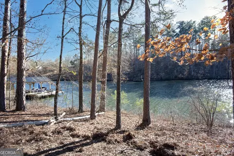 0 Hickory Pass, Sparta, GA 31087 photo 11