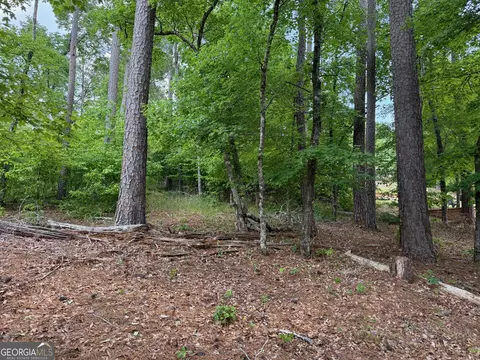 0 Hickory Pass, Sparta, GA 31087 photo 7