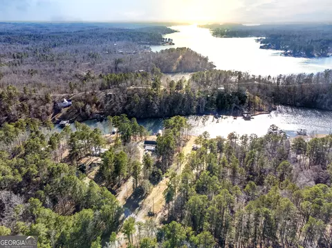0 Hickory Pass, Sparta, GA 31087 photo 14