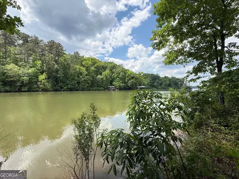 0 Hickory Pass, Sparta, GA 31087 photo 4