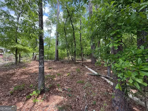 0 Hickory Pass, Sparta, GA 31087 photo 5