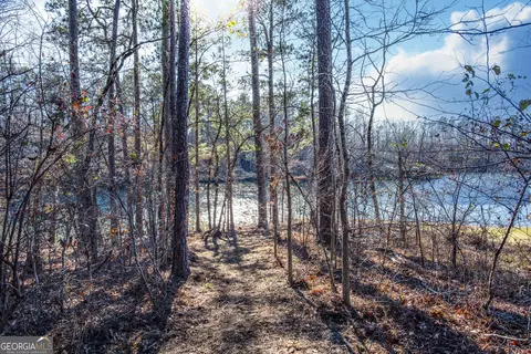 0 Hickory Pass, Sparta, GA 31087 photo 9