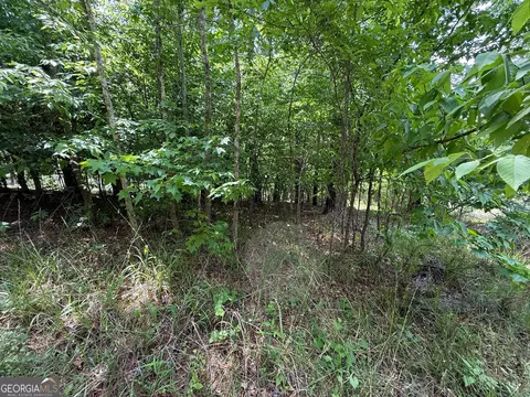 0 Hickory Pass, Sparta, GA 31087 photo 8