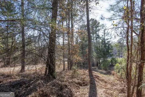 0 Hickory Pass, Sparta, GA 31087 photo 33