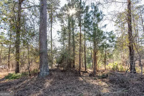 0 Hickory Pass, Sparta, GA 31087 photo 32