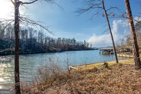 0 Hickory Pass, Sparta, GA 31087 photo 13