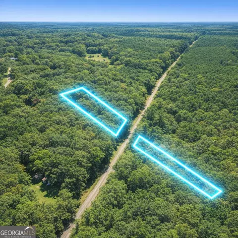 2 04 Acres Holmestown Loop Rd, Midway, GA 31320 photo 9