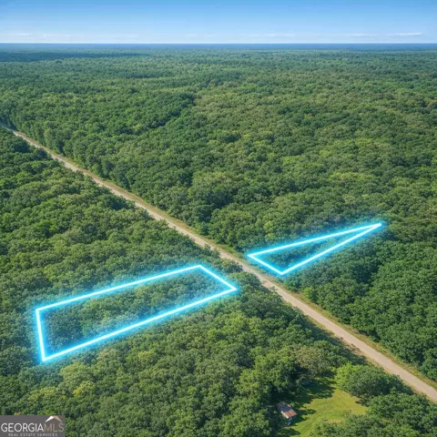 2 04 Acres Holmestown Loop Rd, Midway, GA 31320 photo 8