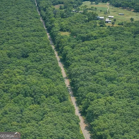 2 04 Acres Holmestown Loop Rd, Midway, GA 31320 photo 13