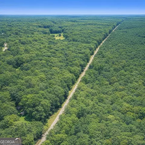 2 04 Acres Holmestown Loop Rd, Midway, GA 31320 photo 10