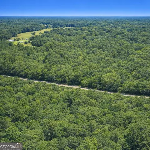 2 04 Acres Holmestown Loop Rd, Midway, GA 31320 photo 12