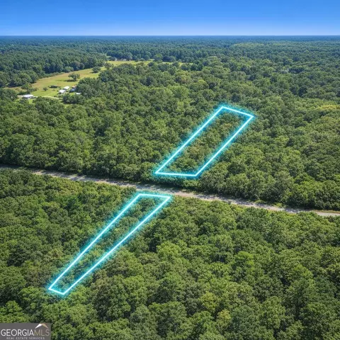 2 04 Acres Holmestown Loop Rd, Midway, GA 31320 photo 7