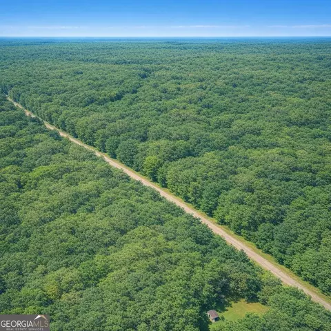 2 04 Acres Holmestown Loop Rd, Midway, GA 31320 photo 11