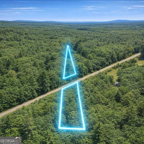 2 04 Acres Holmestown Loop Rd, Midway, GA 31320 photo 5