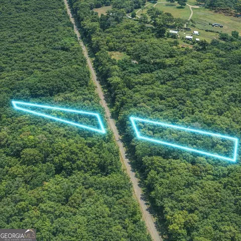 2 04 Acres Holmestown Loop Rd, Midway, GA 31320 photo 6