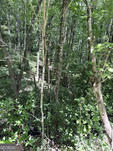 lot856 Larkspur Ln, Clayton, GA 30525