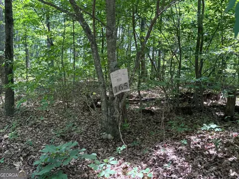 165 St Andrews Way, Jasper, GA 30143 photo 3