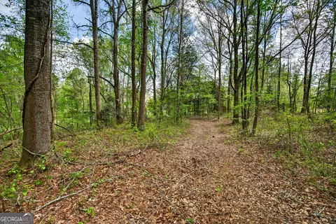 Other - 7142 Hamilton Rd, Pine Mountain, GA 31822 photo 7 of 13
