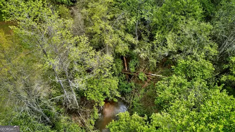 View/Area - 7142 Hamilton Rd, Pine Mountain, GA 31822 photo 7 of 14