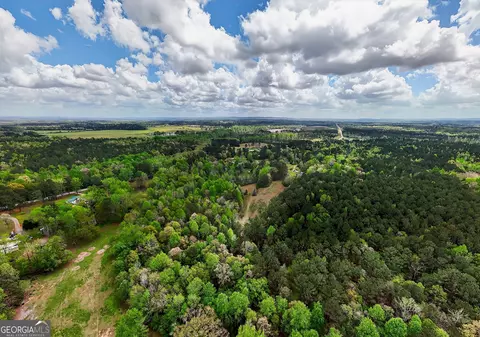 View/Area - 7142 Hamilton Rd, Pine Mountain, GA 31822 photo 4 of 14