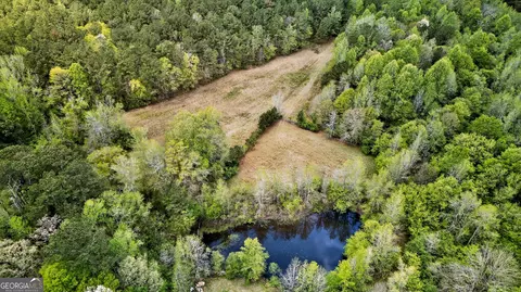 View/Area - 7142 Hamilton Rd, Pine Mountain, GA 31822 photo 3 of 14