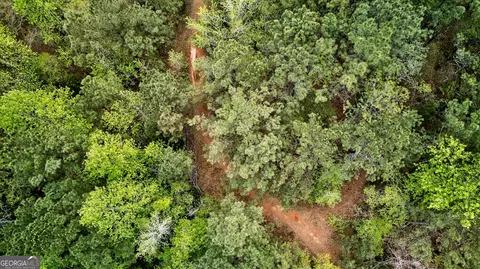 View/Area - 7142 Hamilton Rd, Pine Mountain, GA 31822 photo 5 of 14