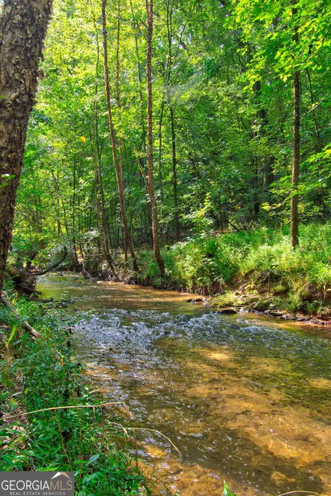 0 S Hills Mill Rd, Cornelia, GA 30531 photo 11
